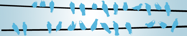 Facebook Birds on a Wire